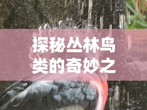 (飞翔之翼2018无限金币版下载)探究飞翔之光内置作弊菜单最新版：揭秘其独特功能及使用体验