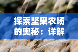 探索坚果农场的奥秘：详解对种植环境、生长过程及营养价值的深度研究笔记