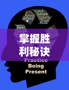 掌握胜利秘诀：详解灵魂之桥手游攻略，升级、角色选择与关卡突破全方位解析