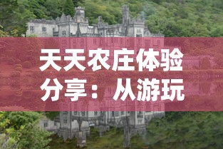 (太初行内购破解版)太初行内购版补充内容解析，多元化分析与常见问答