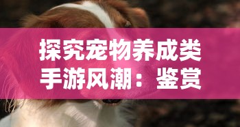 (风之卷轴下载)探秘风之卷轴App，一款神秘的文化探索应用