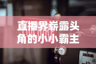 (黎明范冰冰演的杨玉环是什么剧)黎明FB补充内容解析，多角度分析与探讨