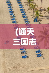 (暗敷代号)暗部代号，揭秘网络安全领域的隐秘角落