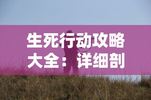 (新葫芦兄弟第一季续写)新葫芦兄弟第一季，传承与创新下的经典再现