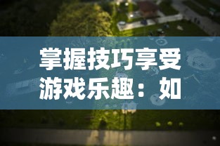 (武道将魂攻略各人物详细)武道将魂攻略补充，多元化分析及常见问题解答