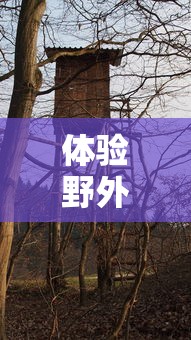 (暗黑破坏神台服战网怎么下载)暗黑破坏神台服战网深度解析，1815字原创文章