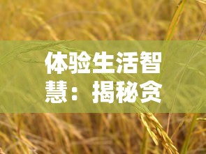 (寂灭剑诀拳皇攻略与技巧视频)寂灭剑诀拳皇攻略与技巧深度解析