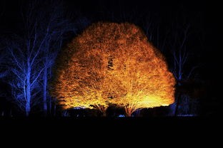 (幻想游戏排行榜前十名)幻想游戏排行榜深度解析，多元化视角下的游戏现象