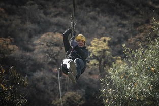 (修仙十大霸气语录)探究仙人之下我无敌背后的深层含义