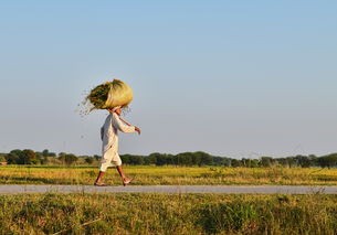 (超神学院有没有游戏)超神学院游戏现状分析，能否继续畅玩？