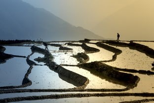 (诛妖记.山海经礼包码)诛妖记山海经封魔挑战作为一款深受玩家喜爱的游戏，不仅融合了我国古老的神话传说，还加入了丰富的战斗元素。本文将从多个角度对诛妖记山海经封魔挑战进行解析，并提出一些问题以供探讨。