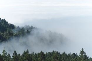 (望仙谷住一晚多少钱)忘仙谷，探寻神秘仙境之谜