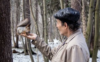 (射雕英雄传之侠之大者)射雕英雄传是金庸先生创作的武侠经典之作，讲述了南宋末年，郭靖与黄蓉的冒险历程，以及他们与众多江湖英雄的交往。以下是一篇围绕射雕英雄传的原创文章，字数约为1823字，从多元化角度进行分析和介绍，并提出问题。