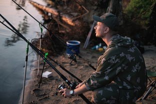 (黎明救援游戏官网)黎明救援游戏深度解析，多元化视角下的游戏体验与探讨