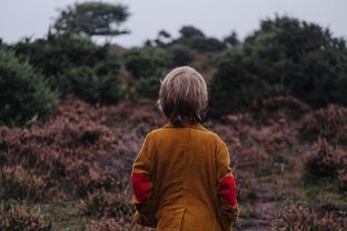 (少年的人间奇遇下载地址)少年的人间奇遇，探索未知世界的奇幻之旅