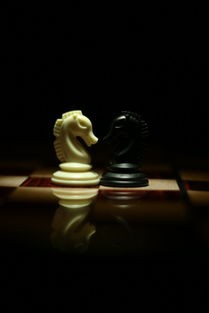 (单机版象棋游戏手机)深入探索单机版象棋游戏，多元化分析与常见问答