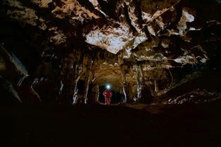 (灰烬大陆类似地下城的手游有哪些)灰烬大陆地下城探险指南——多元化分析与FAQ