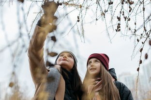 (女子侦探推理社第二季免费观看)女子侦探推理社，揭秘女性在侦探领域的独特魅力