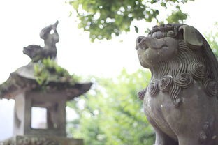 (病病神社建造中免广告)病病神社，日本古老神社的传承与创新