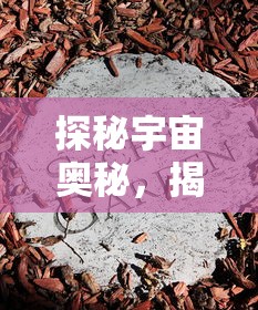 淘宝、京东、拼多多，哪个平台的新不良人折扣最低？一文深度解析消费者如何省钱购买