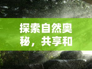 西楚霸王项羽的封地：西楚的具体地理位置及其历史文化影响深度解析