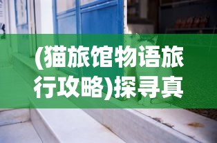 详解最新版本：掌握冒险与精灵最强阵容，助你轻松升级、闯关成功