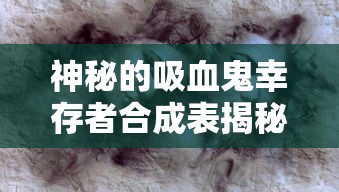 纵横江湖五百年：揭秘仙剑奇侠传中蜀山第一代掌门的风采与权力之路