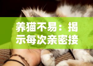 以诗寄情、人字塑心：纵观微卿《云梦四时歌》的创作之路与诗歌魅力的深层解读