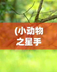 仙境传说复兴H5：移动游戏改革弄潮儿，带你重新定义经典角色扮演体验