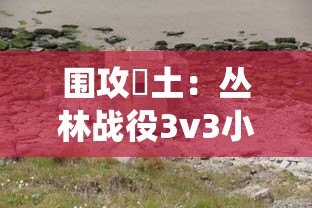 围攻熱土：丛林战役3v3小游戏的策略选择与团队合作方法深度解析