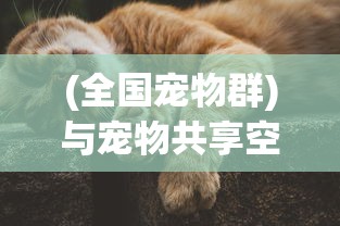 探讨企鹅侦探为何遭遇下架：是否涉及侵权或违规内容引发网友热议