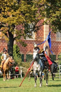 屠龙与疾风：列王纪元中世纪战争中的英勇战士与暴风骑士的辉煌战绩和荣耀牺牲