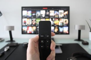 探讨现代科技影响：以《这游戏也太真实了泉水指挥官》为视角，深入分析其超高游戏真实性对用户体验的影响