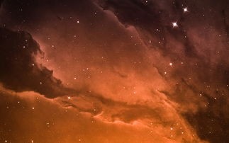 天鹅座里的浪漫之旅——梦间集首席设计师魏宇辰以星空为灵感，打造全新系列作品解读