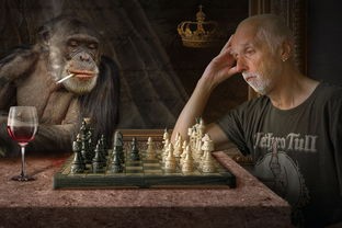 (橡皮人游戏视频)橡皮人救援游戏：融合策略与冒险元素，挑战你的智慧与勇气