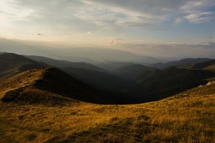 (穿越山谷电影)穿越山谷音乐：感受大自然的魅力，体验原始节奏与灵魂共鸣