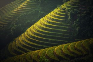 (揭秘地球:最强探险家 大探险家)揭秘地球，最强探险家的传奇之旅